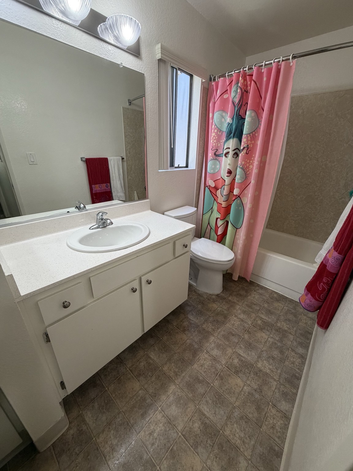 Bathroom Cleaning after