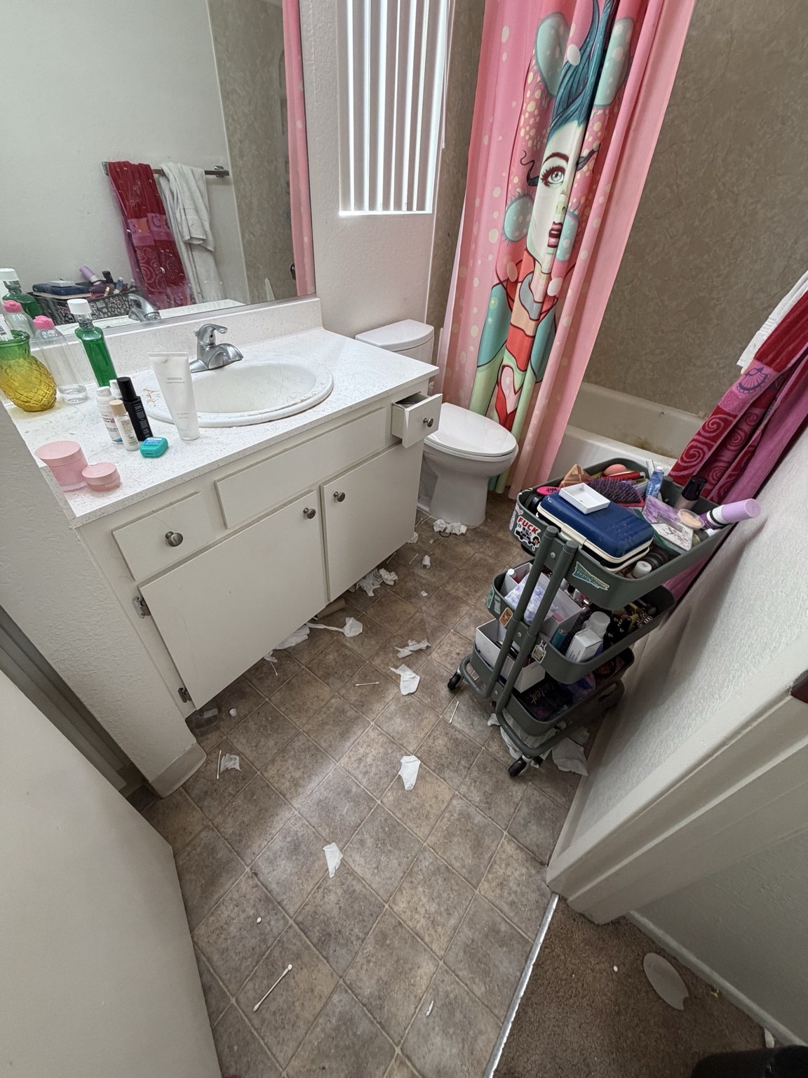 Bathroom Cleaning before
